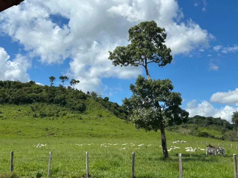 Fazenda em Rio Sono/Tocantins — Ref 26726Y — Imagem 5