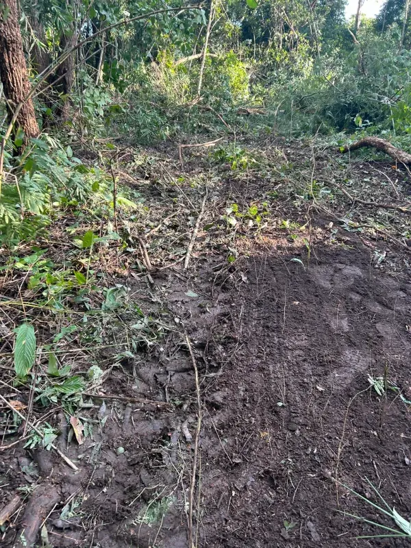 Fazenda em Rio Sono/Tocantins — Ref 26726Y — Imagem 6