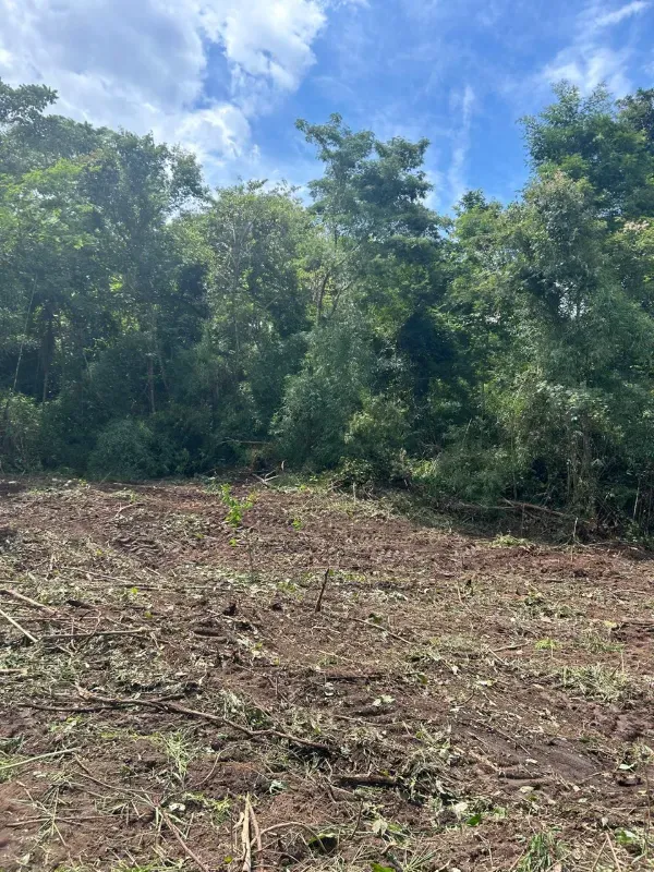 Fazenda em Rio Sono/Tocantins — Ref 26726Y — Imagem 7