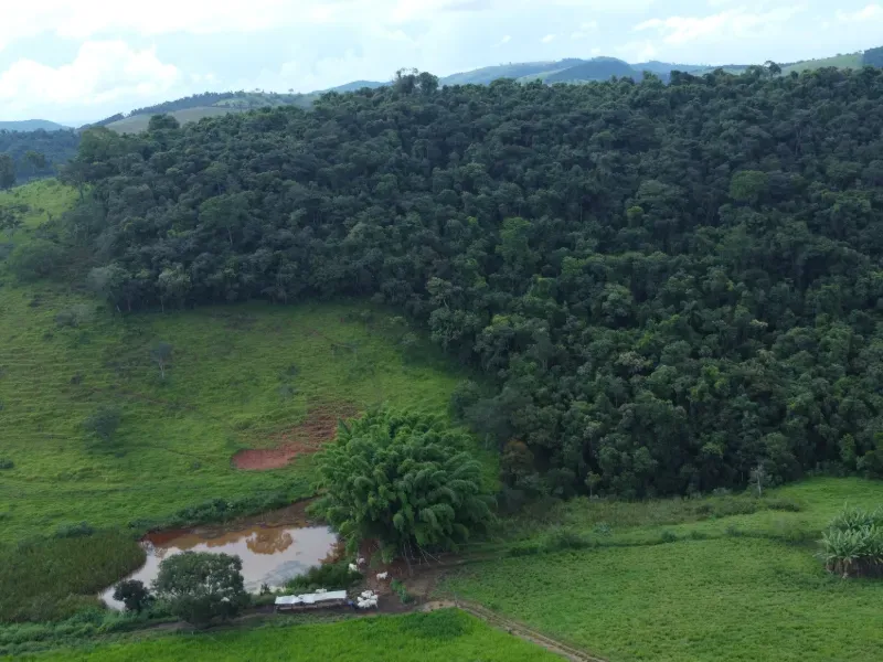 Fazenda em Carmo da Mata/Minas Gerais — Ref E5BVMC — Imagem 4