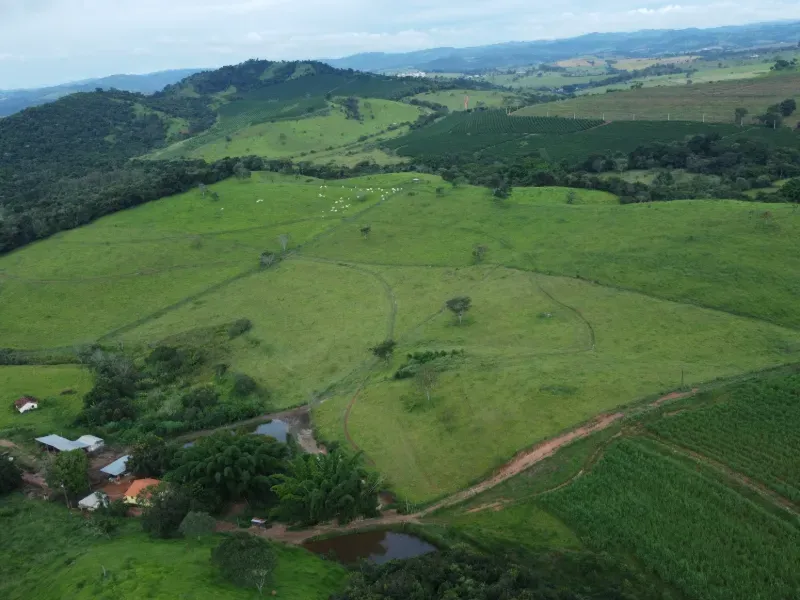 Fazenda em Carmo da Mata/Minas Gerais — Ref E5BVMC — Imagem 2