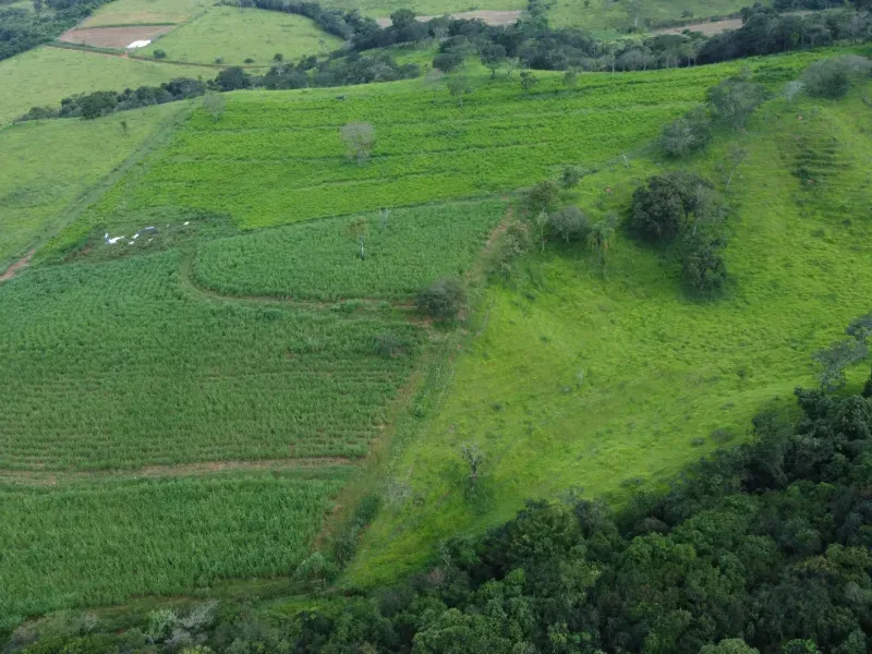 Fazenda em Carmo da Mata/Minas Gerais — Ref E5BVMC — Imagem 3