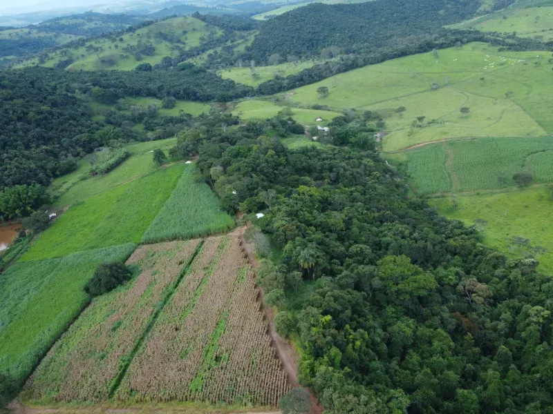 Fazenda em Carmo da Mata/Minas Gerais — Ref E5BVMC — Imagem 6