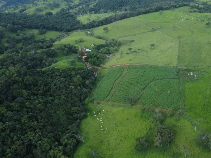 Fazenda em Carmo da Mata/Minas Gerais — Ref E5BVMC — Imagem 11