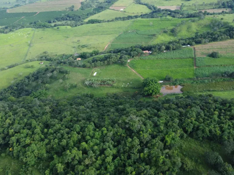 Fazenda em Carmo da Mata/Minas Gerais — Ref E5BVMC — Imagem 10