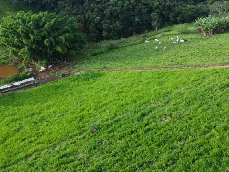 Fazenda em Carmo da Mata/Minas Gerais — Ref E5BVMC — Imagem 5