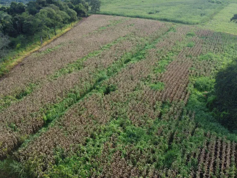 Fazenda em Carmo da Mata/Minas Gerais — Ref E5BVMC — Imagem 8