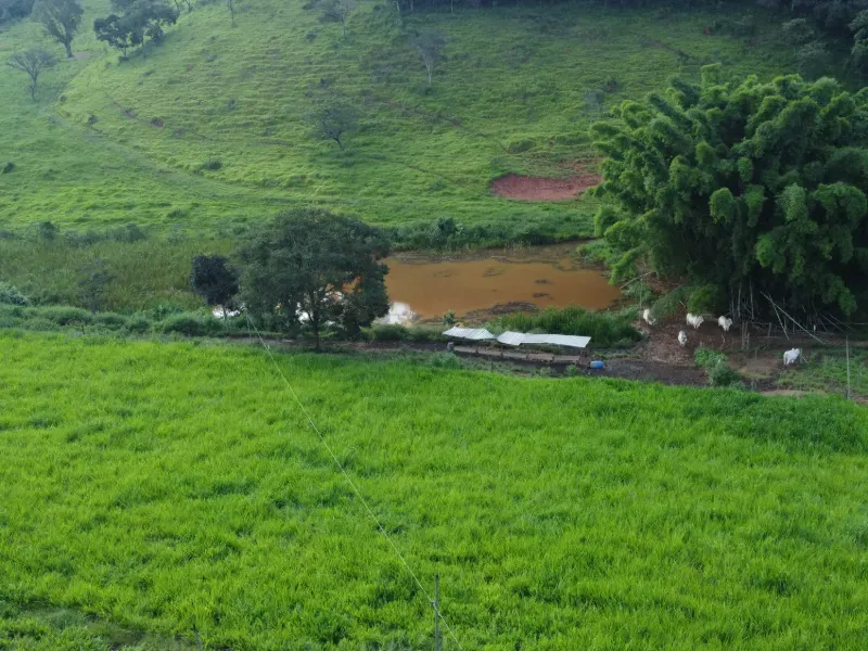 Fazenda em Carmo da Mata/Minas Gerais — Ref E5BVMC — Imagem 14