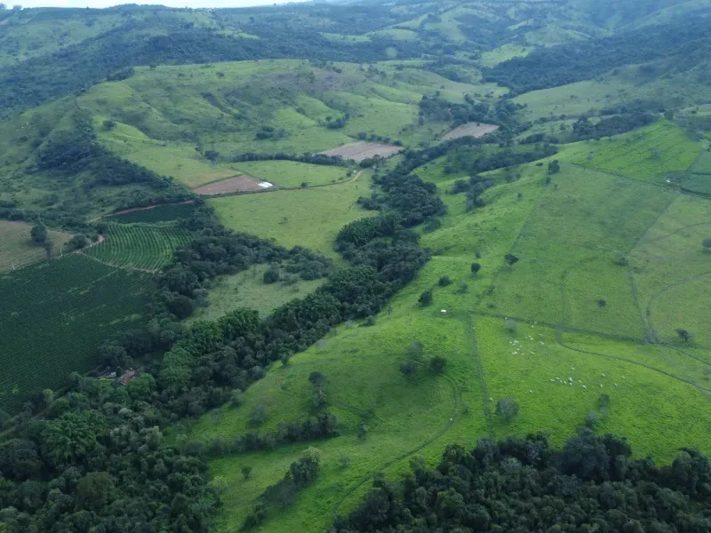Fazenda em Carmo da Mata/Minas Gerais — Ref E5BVMC — Imagem 9