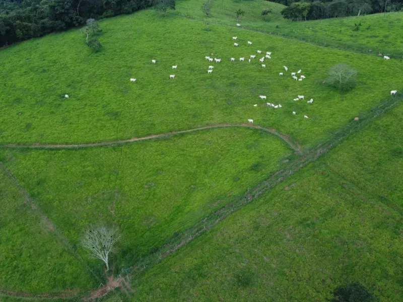 Fazenda em Carmo da Mata/Minas Gerais — Ref E5BVMC — Imagem 15