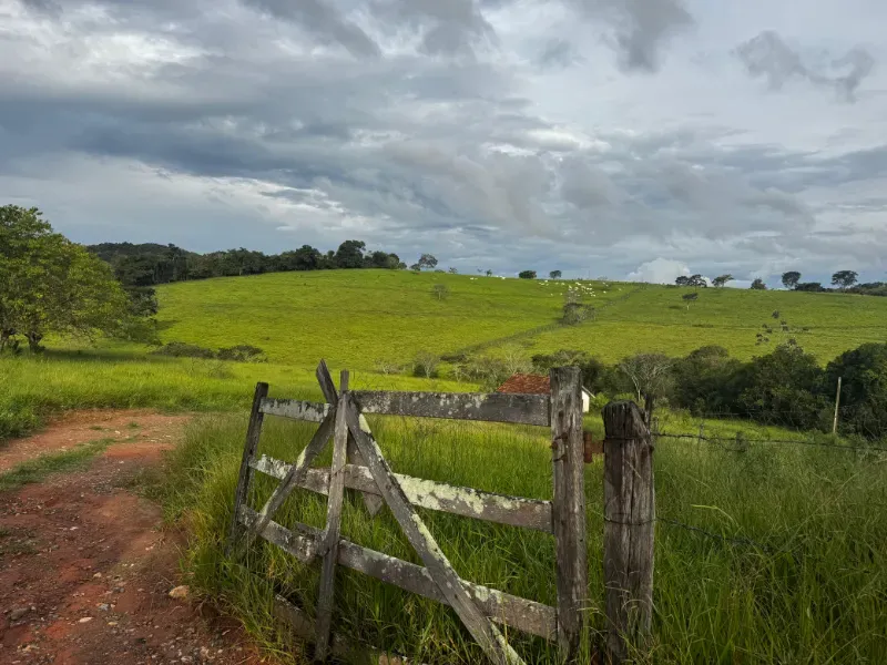 Imóvel rural em Carmo da Mata/Minas Gerais — Ref E5BVMC1