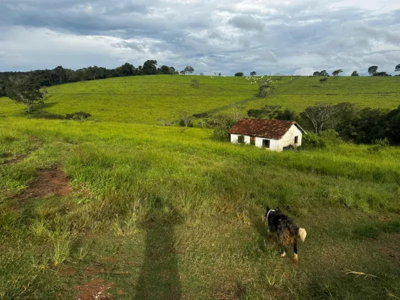 Fazenda em Carmo da Mata/Minas Gerais — Ref E5BVMC — Imagem 17