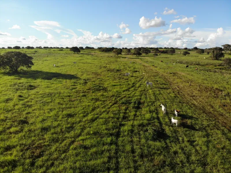 Fazenda em Dueré/Tocantins — Ref KGRPC4 — Imagem 5