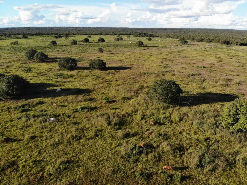 Fazenda em Dueré/Tocantins — Ref KGRPC4 — Imagem 9