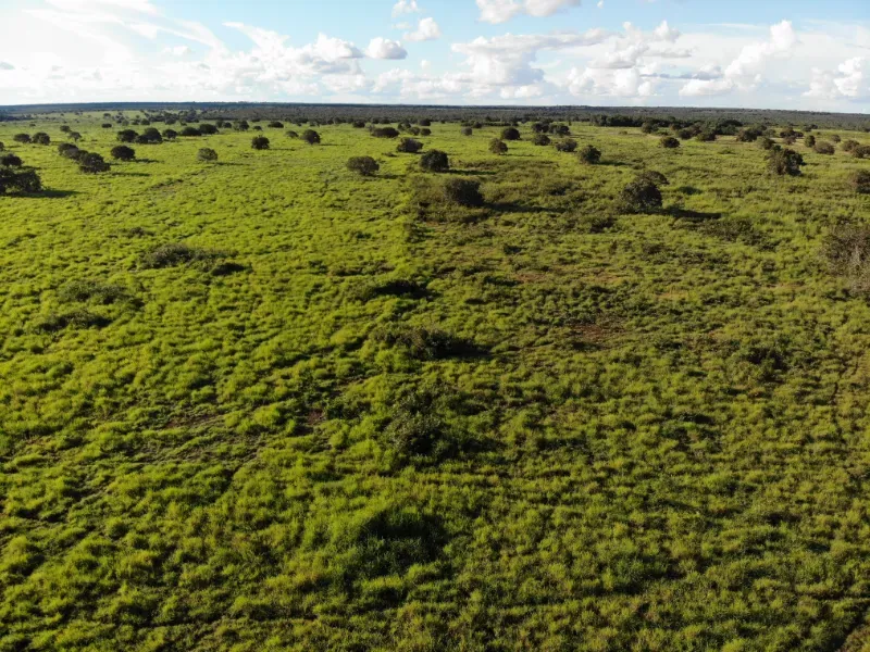 Fazenda em Dueré/Tocantins — Ref KGRPC4 — Imagem 12