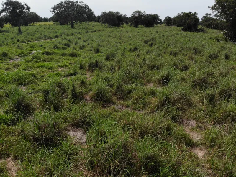 Fazenda em Chapada de Areia/Tocantins — Ref SWPT0N — Imagem 3