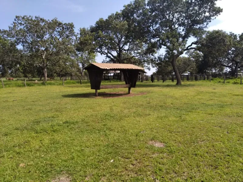 Fazenda em Chapada de Areia/Tocantins — Ref SWPT0N — Imagem 7