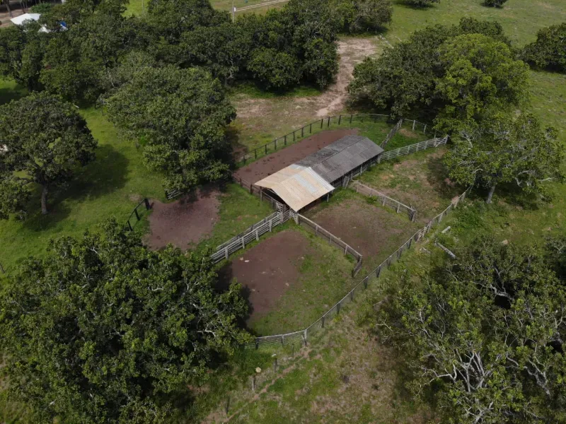 Fazenda em Chapada de Areia/Tocantins — Ref SWPT0N — Imagem 9