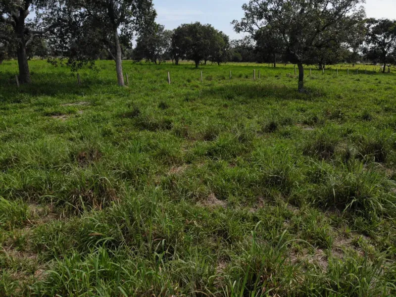 Fazenda em Chapada de Areia/Tocantins — Ref SWPT0N — Imagem 11