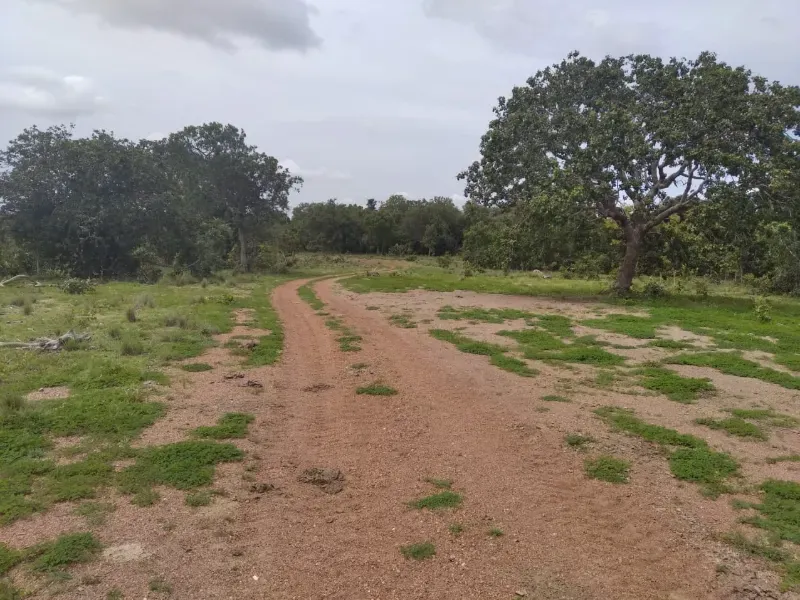 Fazenda em Chapada de Areia/Tocantins — Ref SWPT0N — Imagem 13