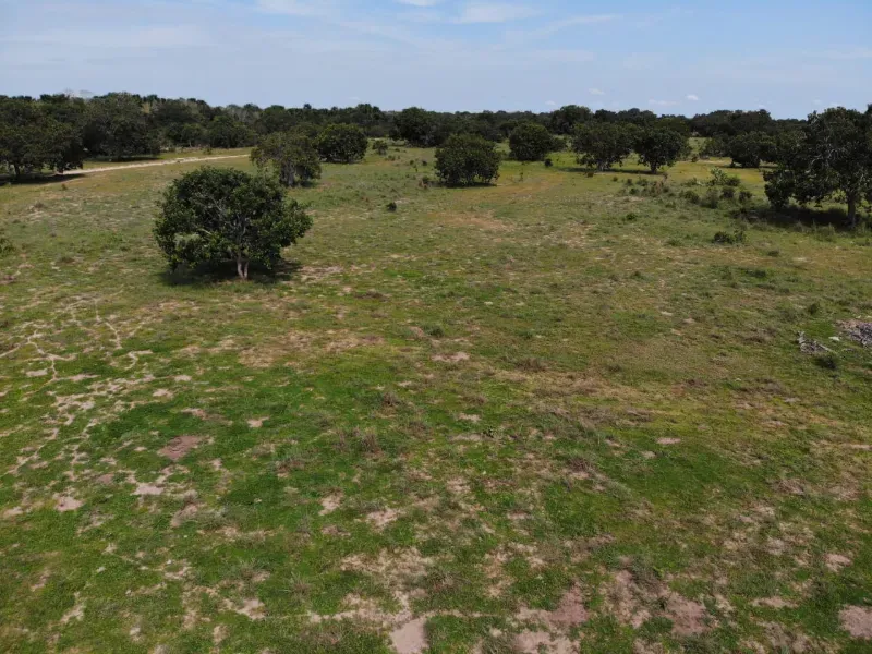 Fazenda em Chapada de Areia/Tocantins — Ref SWPT0N — Imagem 15