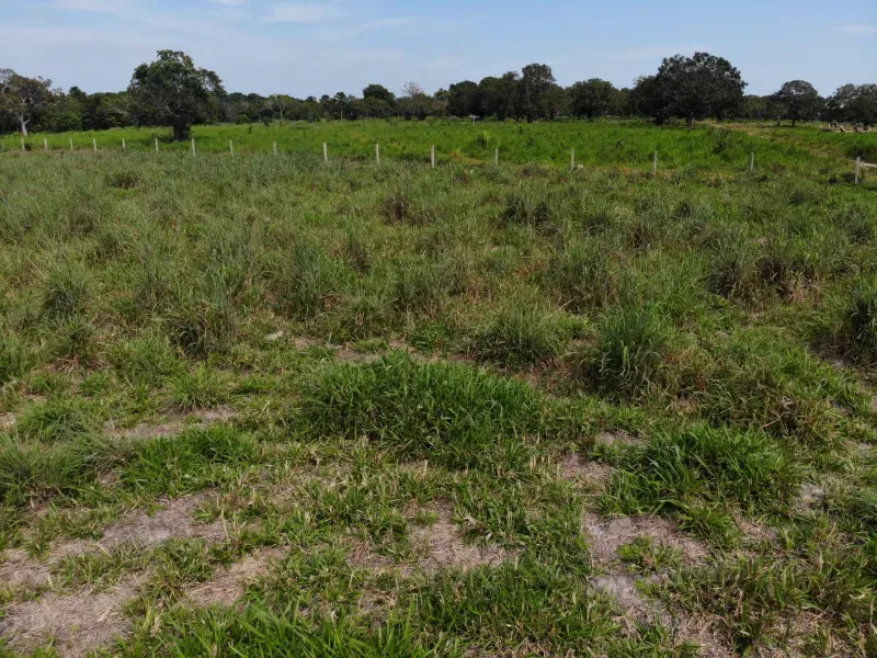 Fazenda em Chapada de Areia/Tocantins — Ref SWPT0N — Imagem 16