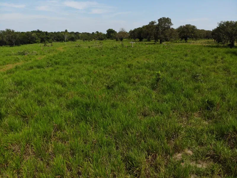 Fazenda em Chapada de Areia/Tocantins — Ref SWPT0N — Imagem 18