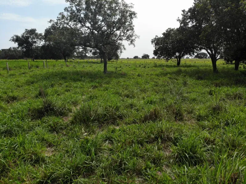 Fazenda em Chapada de Areia/Tocantins — Ref SWPT0N — Imagem 20