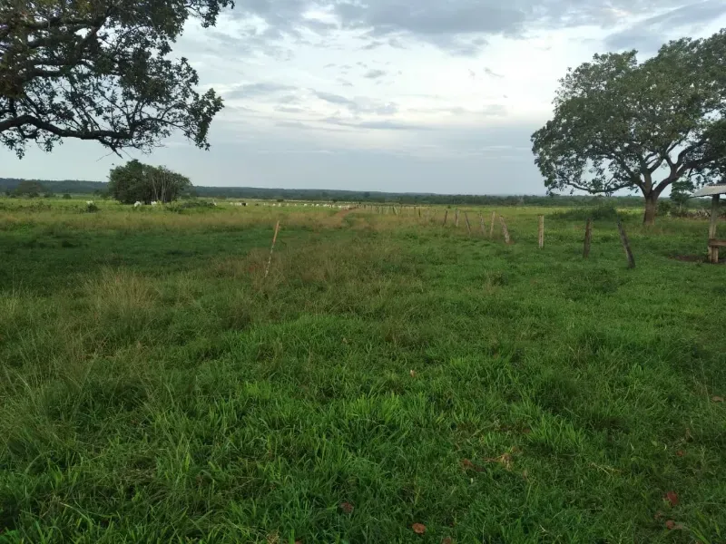 Fazenda em Chapada de Areia/Tocantins — Ref SWPT0N — Imagem 21