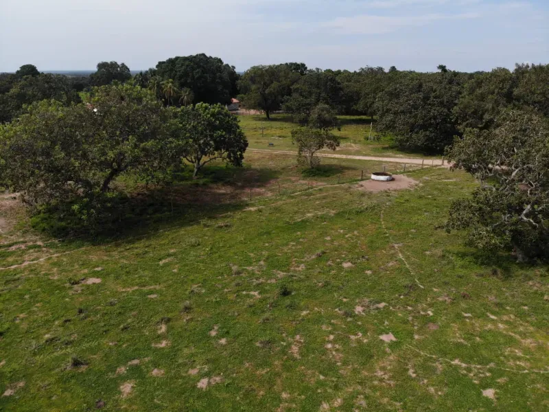 Fazenda em Chapada de Areia/Tocantins — Ref SWPT0N — Imagem 24