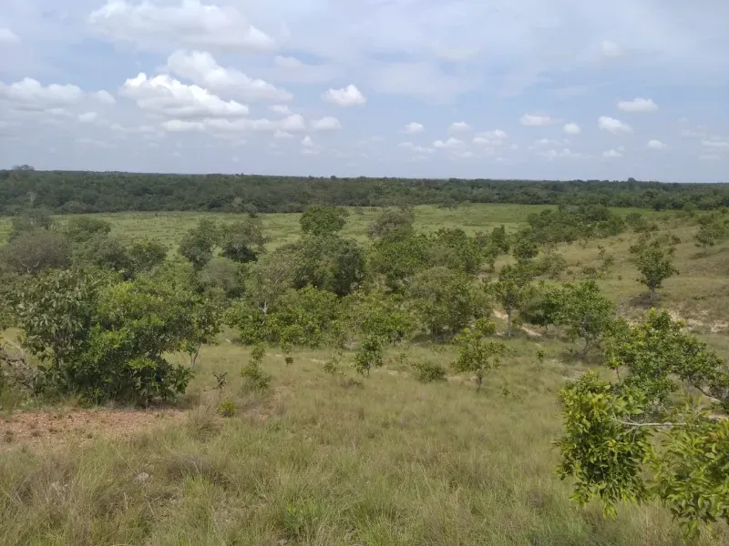 Fazenda em Chapada de Areia/Tocantins — Ref SWPT0N — Imagem 29