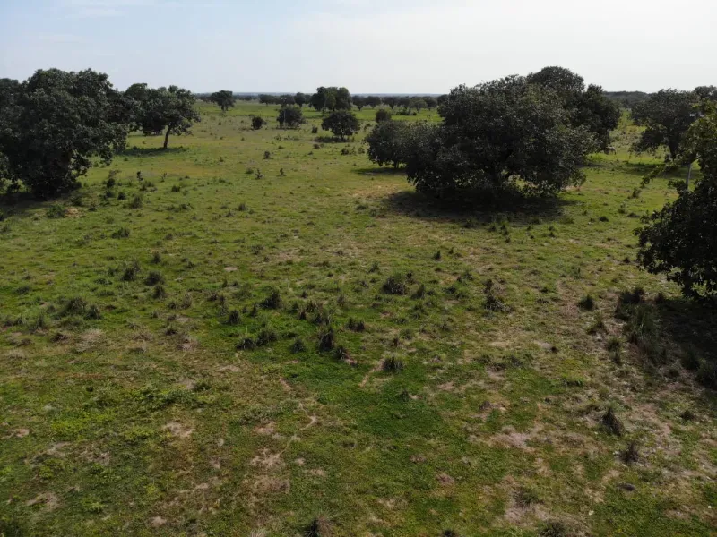 Fazenda em Chapada de Areia/Tocantins — Ref SWPT0N — Imagem 32