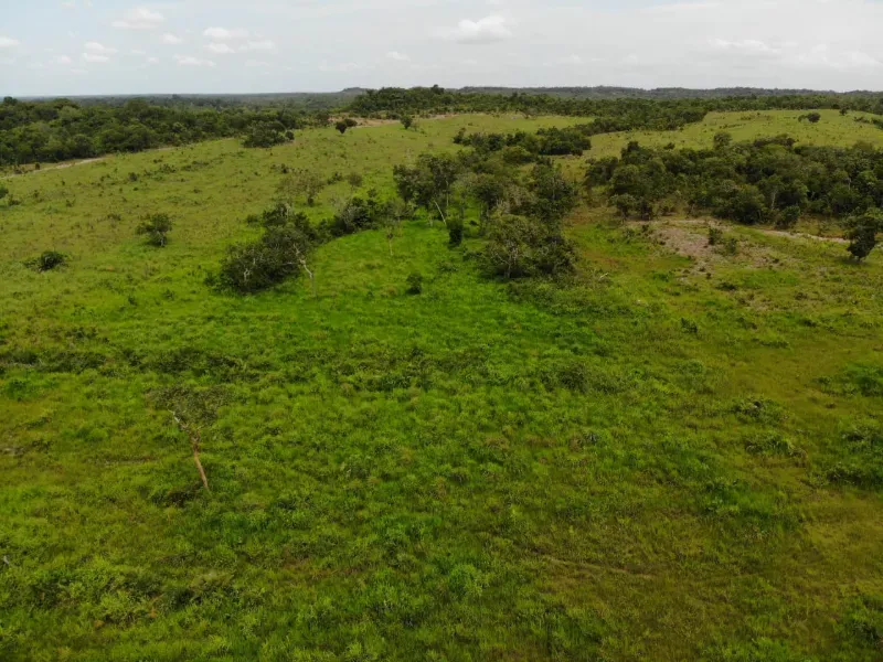 Fazenda em Chapada de Areia/Tocantins — Ref SWPT0N — Imagem 34