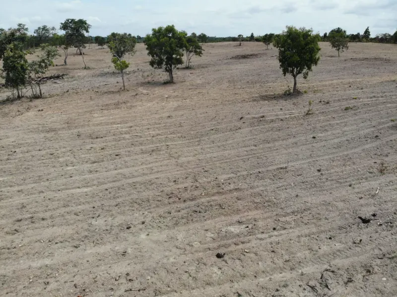 Fazenda em Chapada de Areia/Tocantins — Ref SWPT0N — Imagem 35