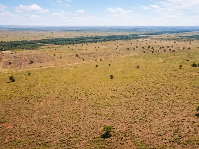 Fazenda em Coxim/Mato Grosso do Sul — Ref VMVQ6X — Imagem 4