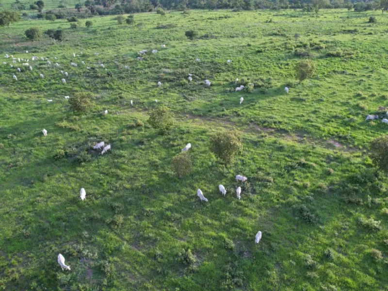 Fazenda em Recursolândia/Tocantins — Ref 2XRHV0 — Imagem 3