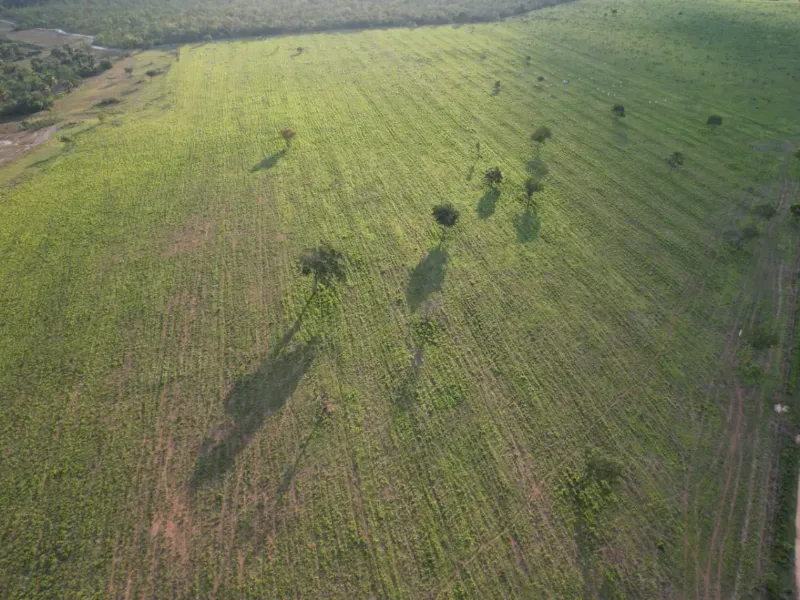 Fazenda em Recursolândia/Tocantins — Ref 2XRHV0 — Imagem 4