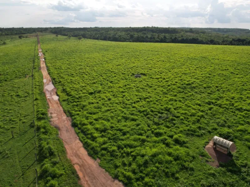 Fazenda em Recursolândia/Tocantins — Ref 2XRHV0 — Imagem 5