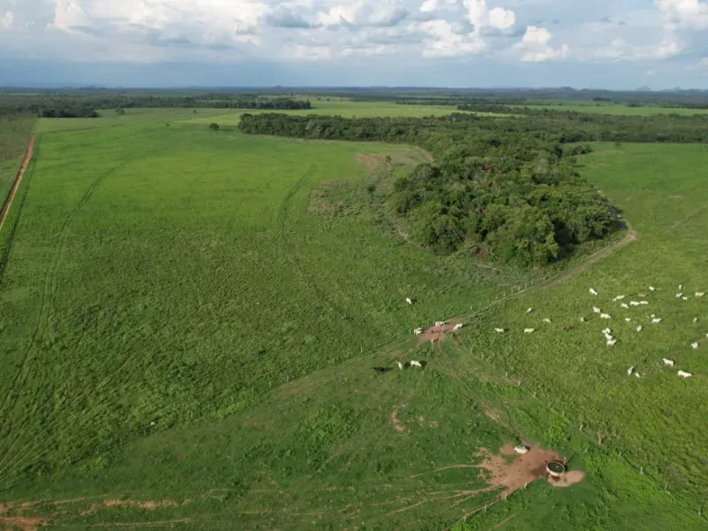 Fazenda em Recursolândia/Tocantins — Ref 2XRHV0 — Imagem 7