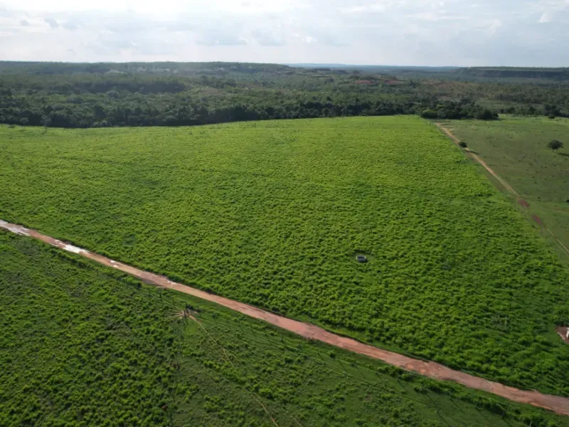 Fazenda em Recursolândia/Tocantins — Ref 2XRHV0 — Imagem 8