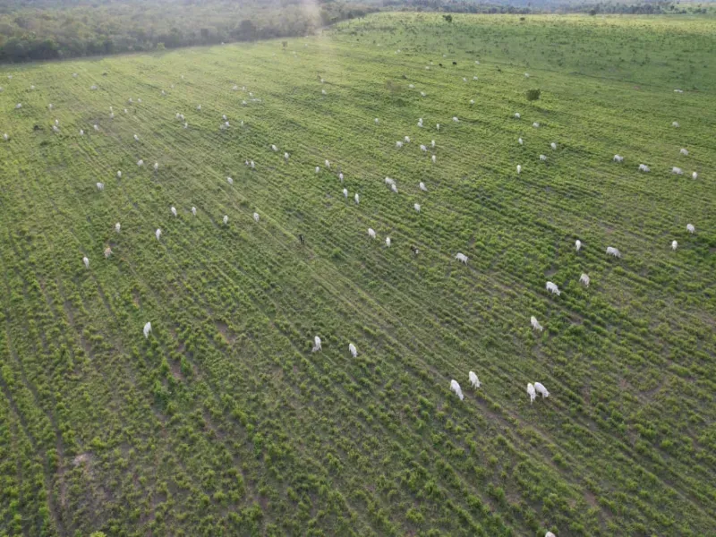 Fazenda em Recursolândia/Tocantins — Ref 2XRHV0 — Imagem 9