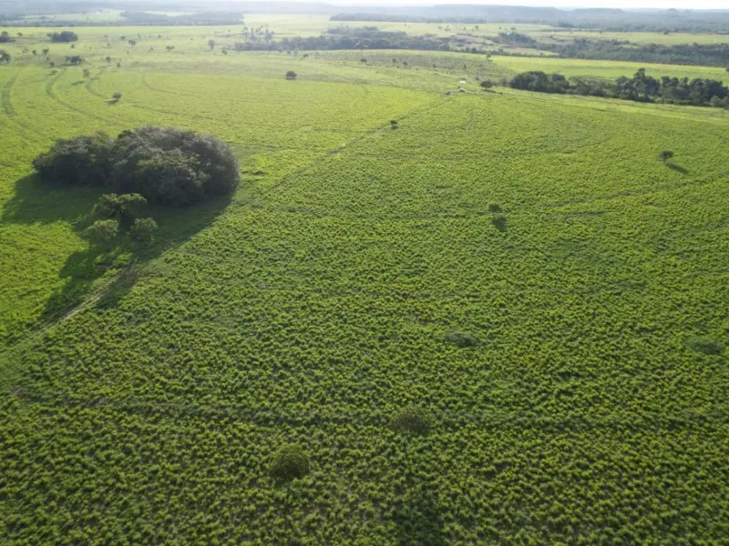 Fazenda em Recursolândia/Tocantins — Ref 2XRHV0 — Imagem 10