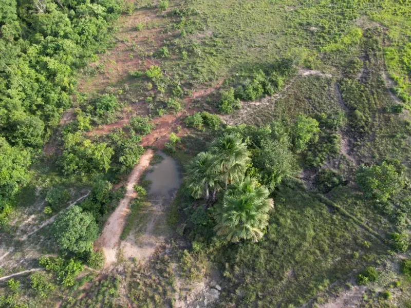 Fazenda em Recursolândia/Tocantins — Ref 2XRHV0 — Imagem 11