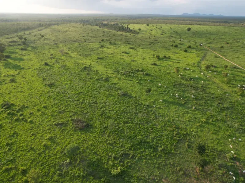 Fazenda em Recursolândia/Tocantins — Ref 2XRHV0 — Imagem 12