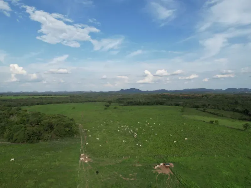 Fazenda em Recursolândia/Tocantins — Ref 2XRHV0 — Imagem 14