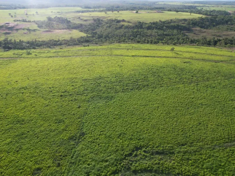 Fazenda em Recursolândia/Tocantins — Ref 2XRHV0 — Imagem 16