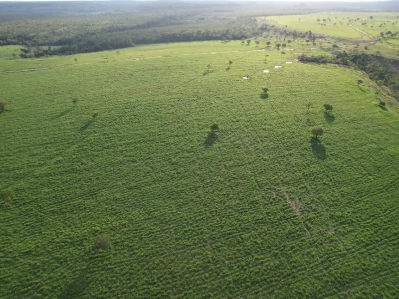 Fazenda em Recursolândia/Tocantins — Ref 2XRHV0 — Imagem 18