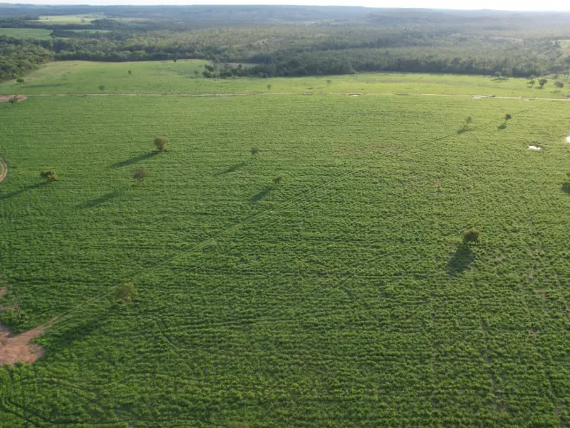 Fazenda em Recursolândia/Tocantins — Ref 2XRHV0 — Imagem 19