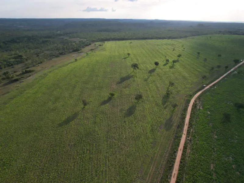 Fazenda em Recursolândia/Tocantins — Ref 2XRHV0 — Imagem 20