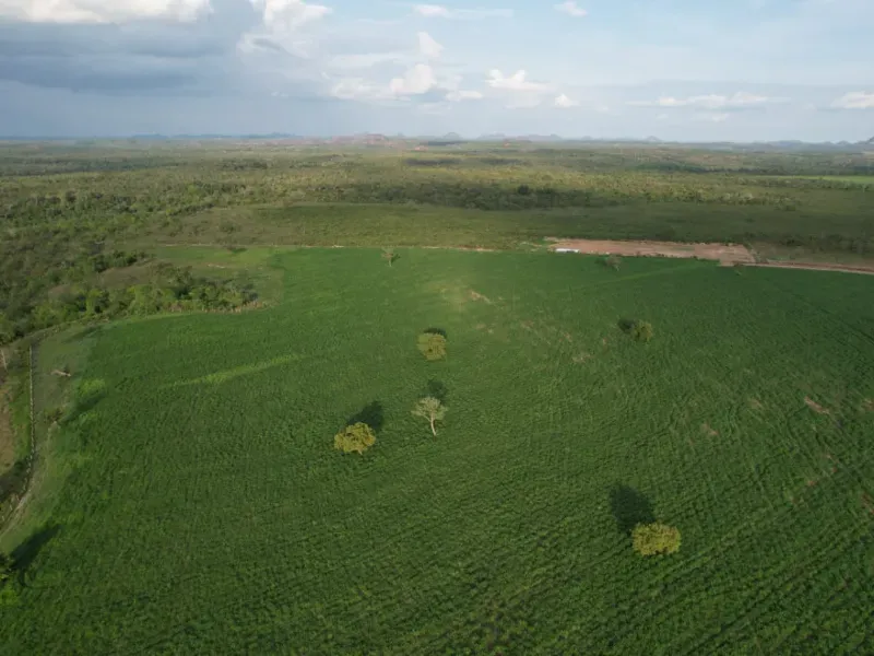 Fazenda em Recursolândia/Tocantins — Ref 2XRHV0 — Imagem 21